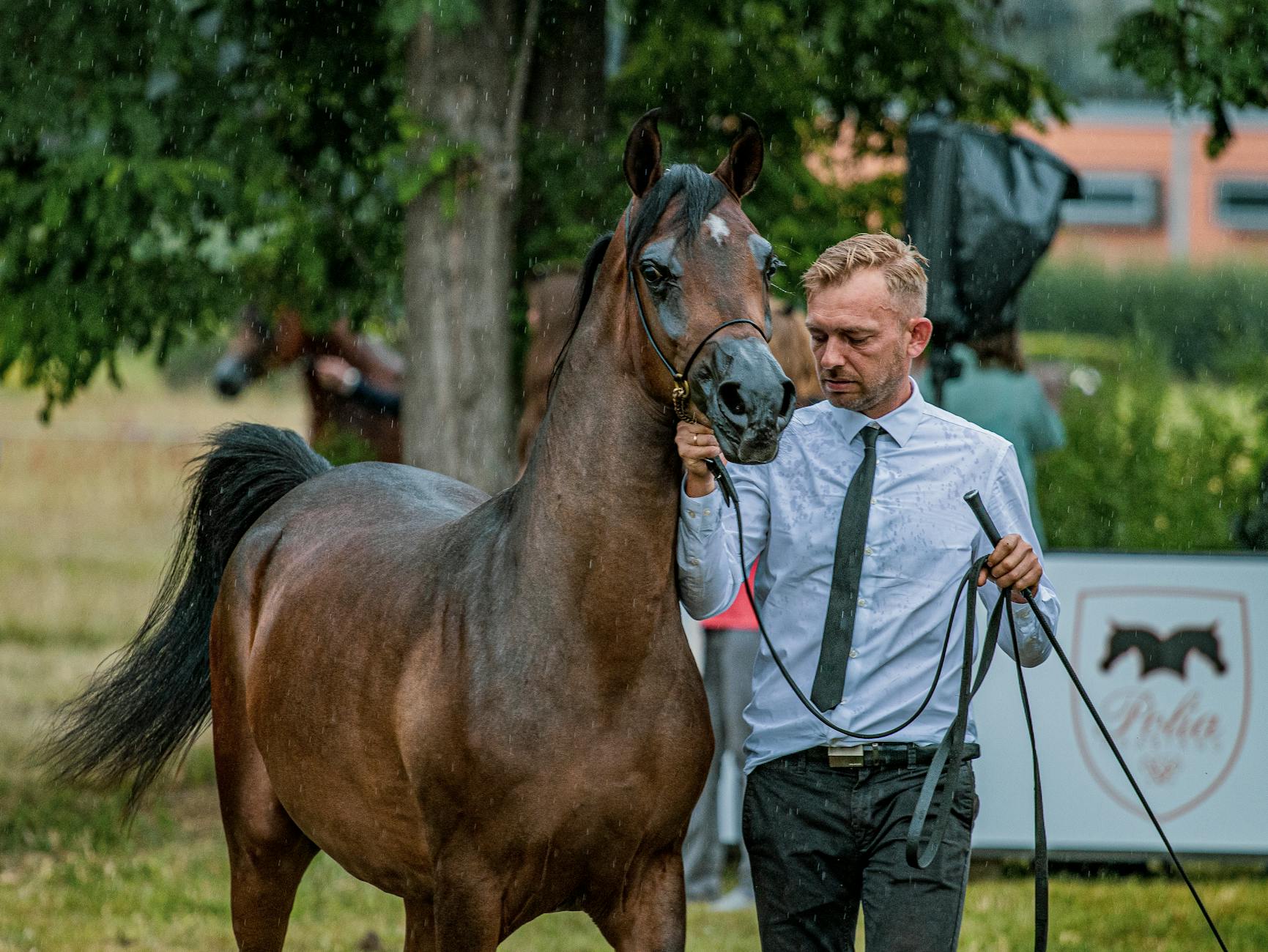 Kalety i okolice: Legendy, podania i dawne historie