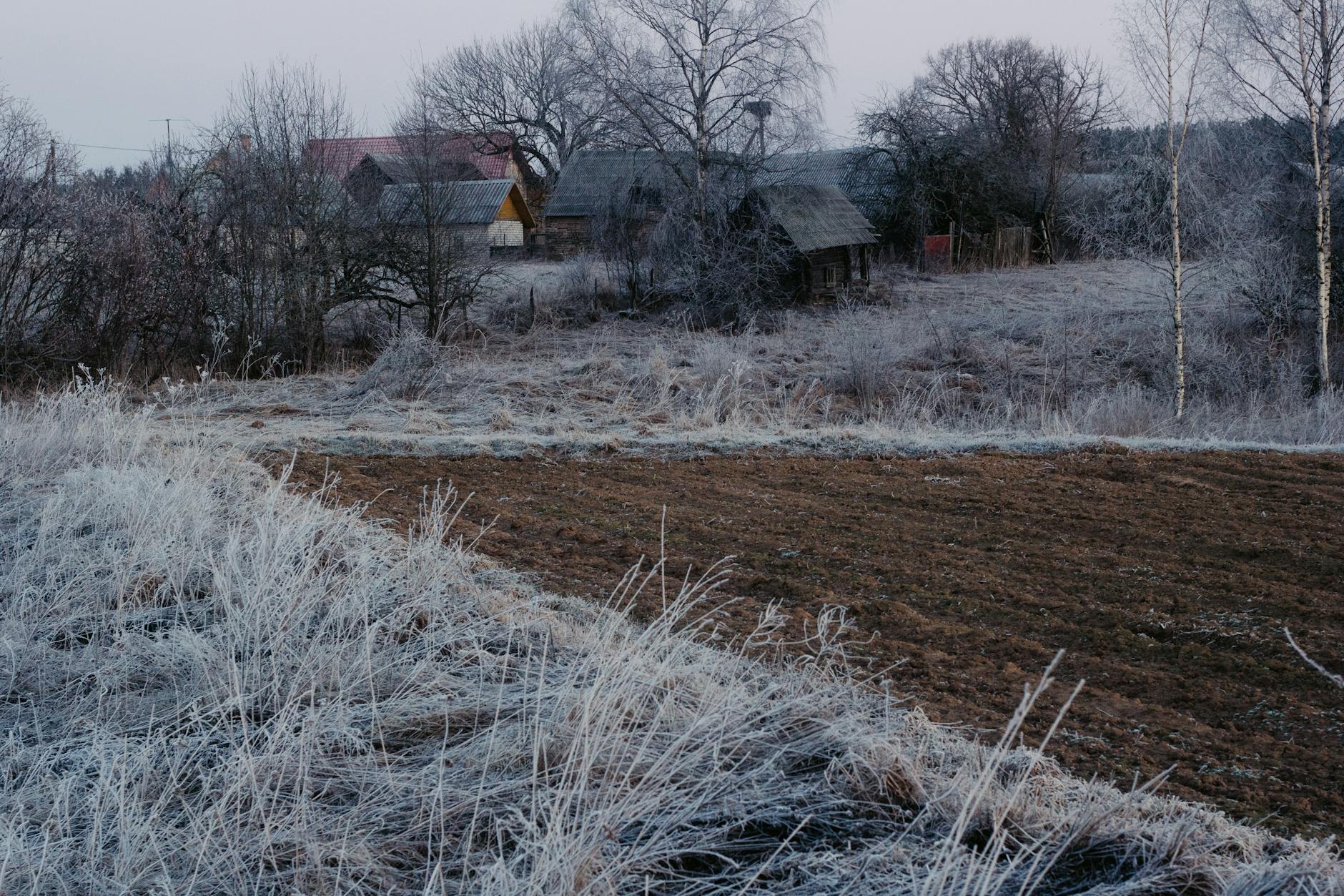 Ogród w Kaletach z młodymi sadzonkami, gotowy do sadzenia po ustąpieniu przymrozków.